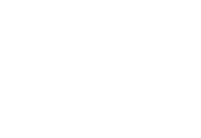 New Bedford logo